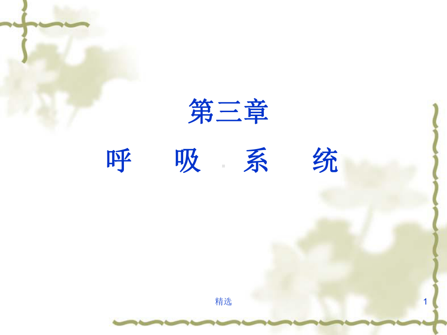 呼吸解剖课件.ppt_第1页