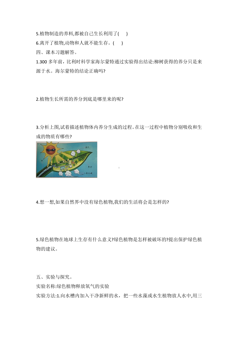 12 .植物的养分(同步练习) -2022新冀人版六年级上册《科学》.docx_第2页