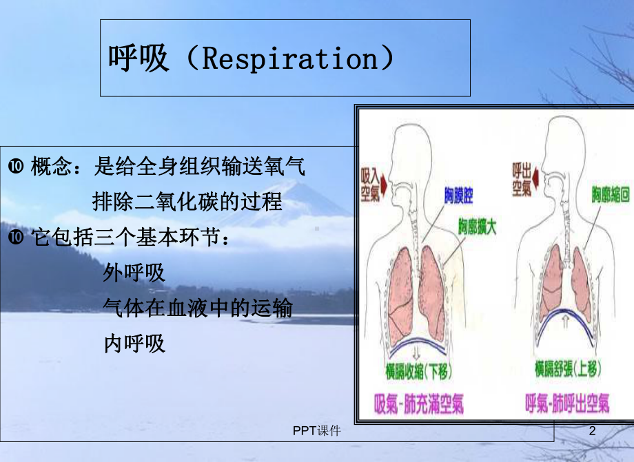 呼吸功能的监测-课件.ppt_第2页