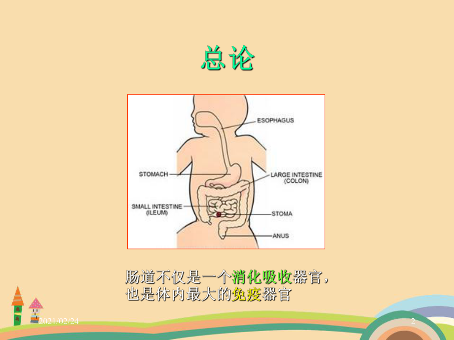 医药类小儿消化系统疾病课件.ppt_第2页