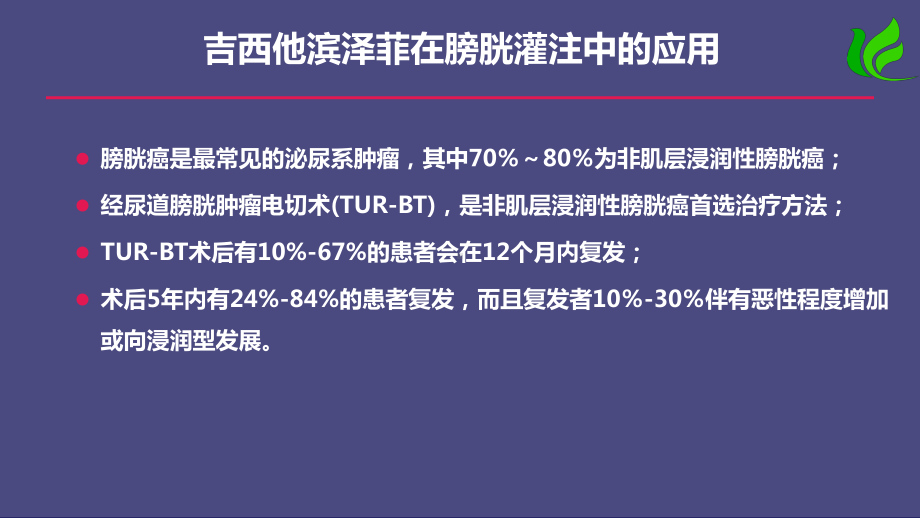 吉西他滨泽菲在膀胱灌注中的应用-课件.ppt_第2页