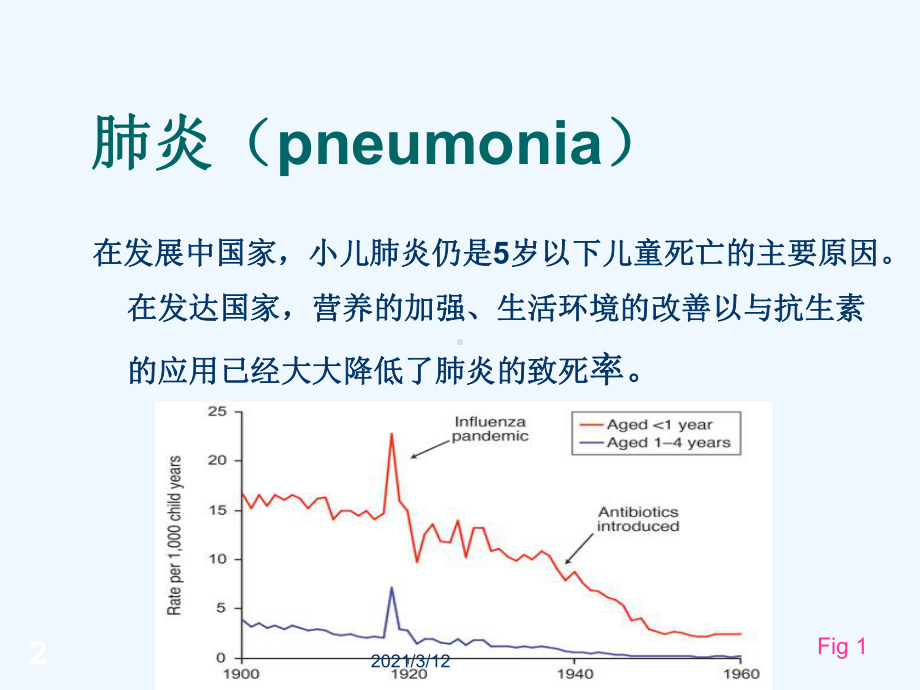 小儿肺炎诊治新进展课件.ppt_第2页