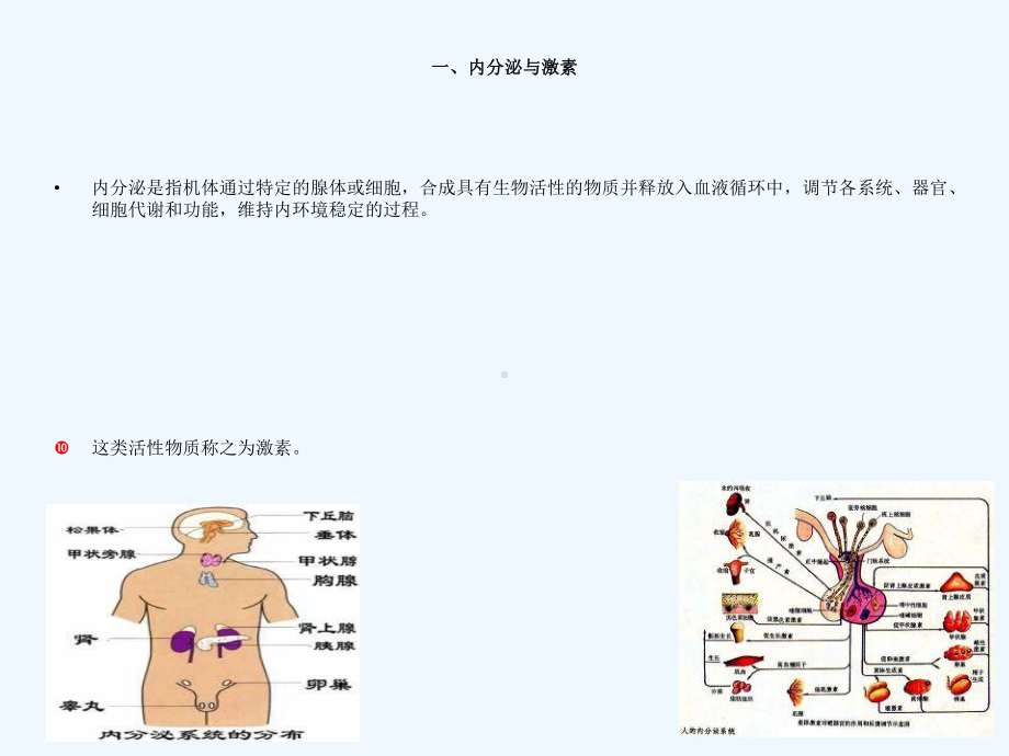 内分泌疾病检验课件.ppt_第3页