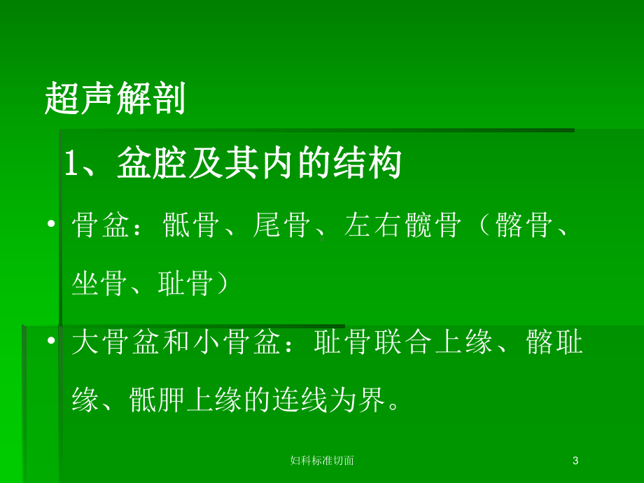 妇科标准切面培训课件.ppt_第3页