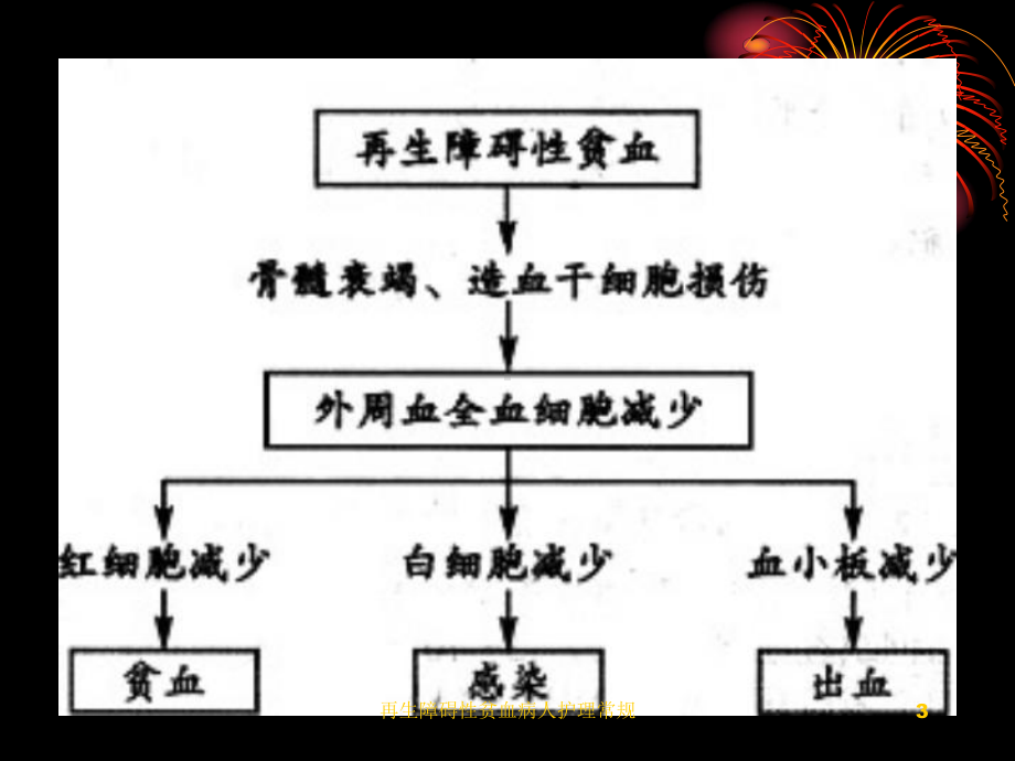 再生障碍性贫血病人护理常规课件.ppt_第3页