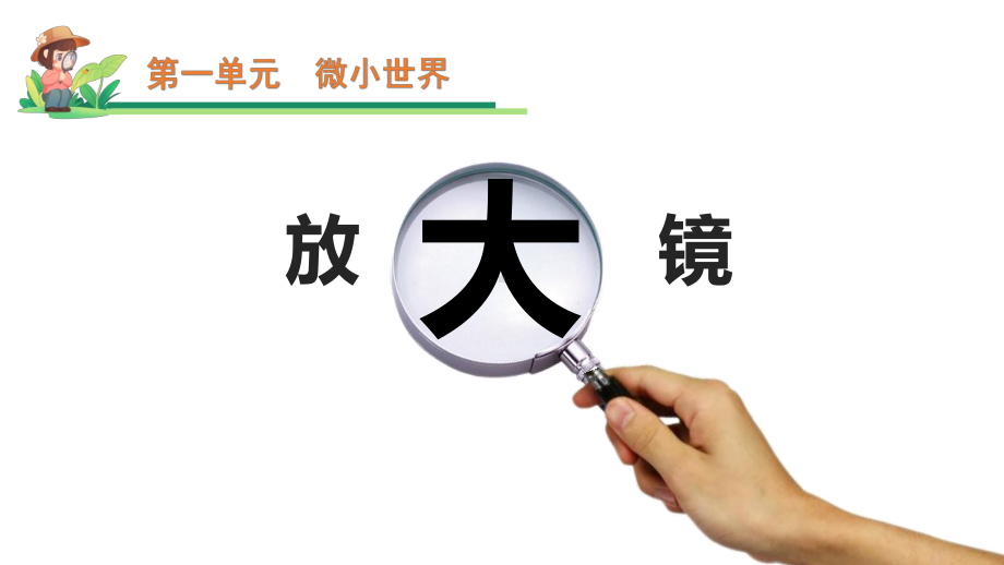 1.1 放大镜 （ppt课件）-2022新教科版六年级上册《科学》.pptx_第2页