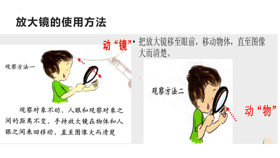 1.1 放大镜 （ppt课件）-2022新教科版六年级上册《科学》.pptx_第3页