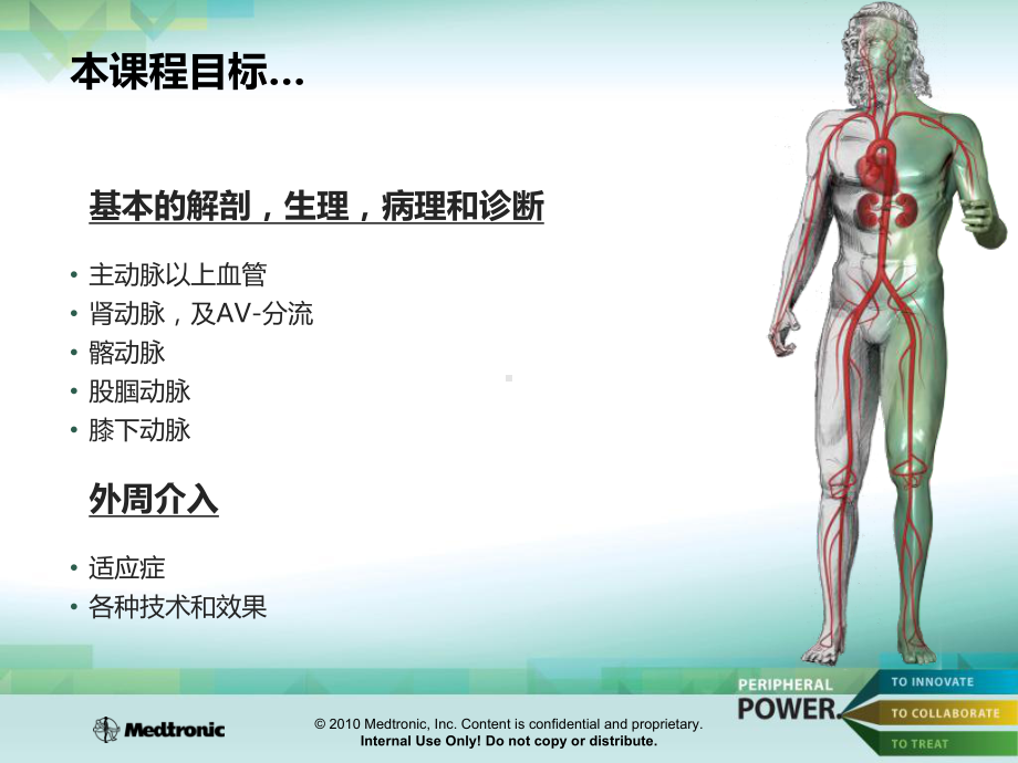 人体动脉血管系统培训课件.ppt_第3页