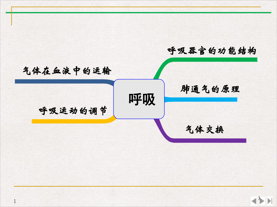 呼吸生理学课件-2.ppt_第3页