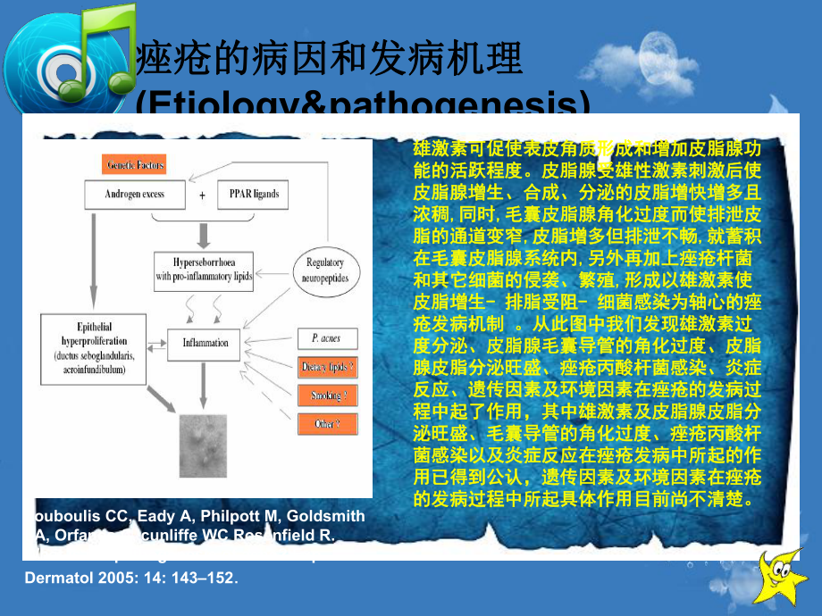 医学课件寻常型痤疮专业知识.ppt_第2页