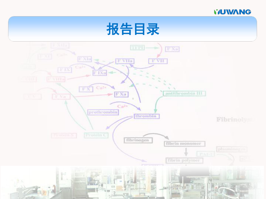 壳聚糖系列止血与创口护理产品明刚课件.ppt_第2页