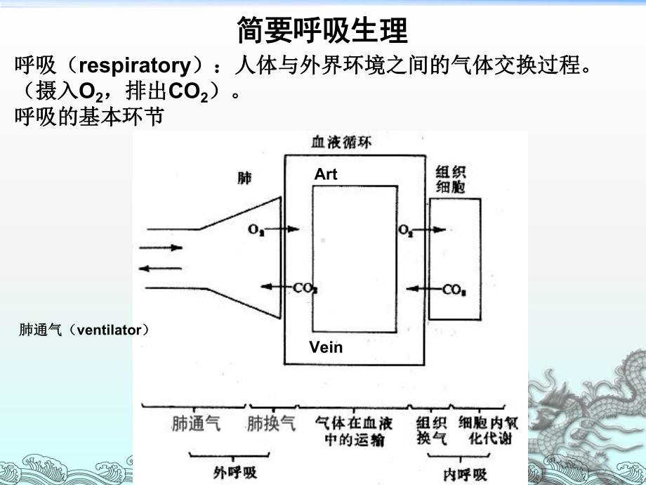 呼吸机培训课件-2.ppt_第3页