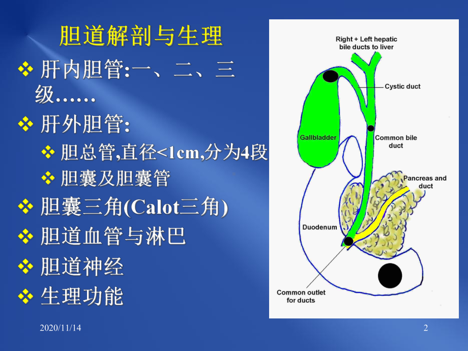 学生小讲课：胆道疾病学习课件.ppt_第2页