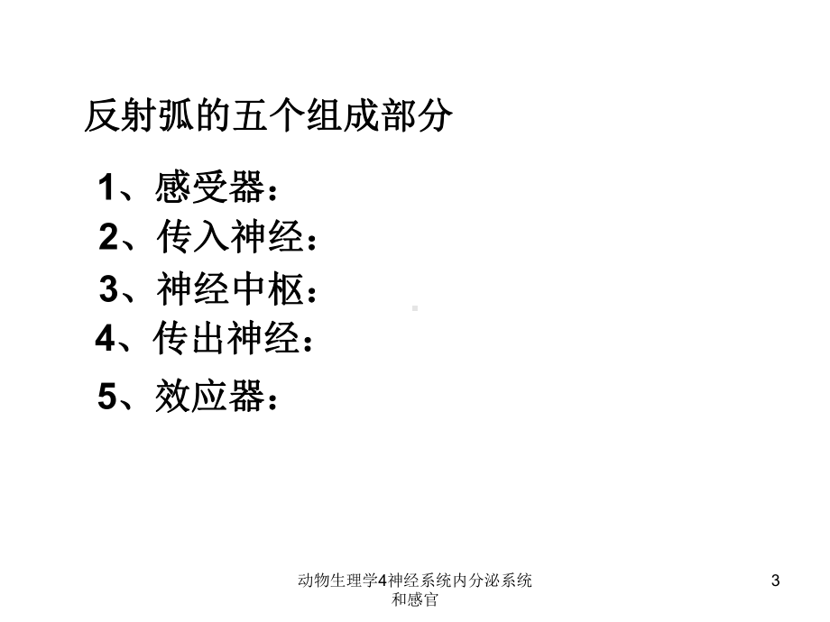 动物生理学4神经系统内分泌系统和感官课件.ppt_第3页