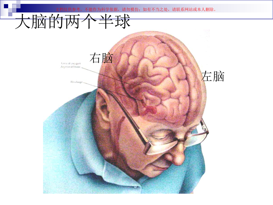 人脑和脑血管解剖分析培训课件.ppt_第3页