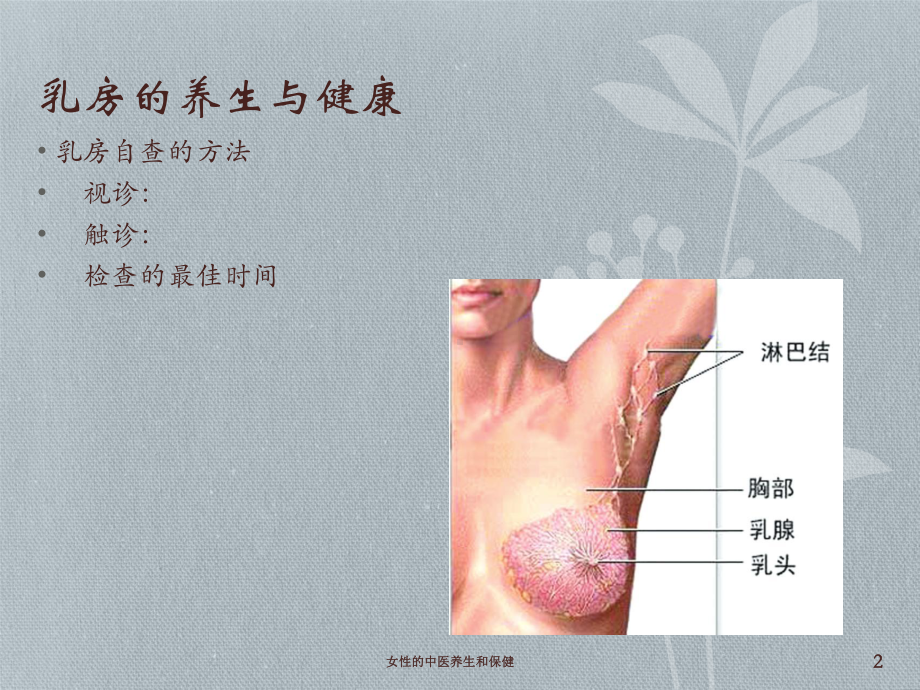 女性的中医养生和保健培训课件.ppt_第2页