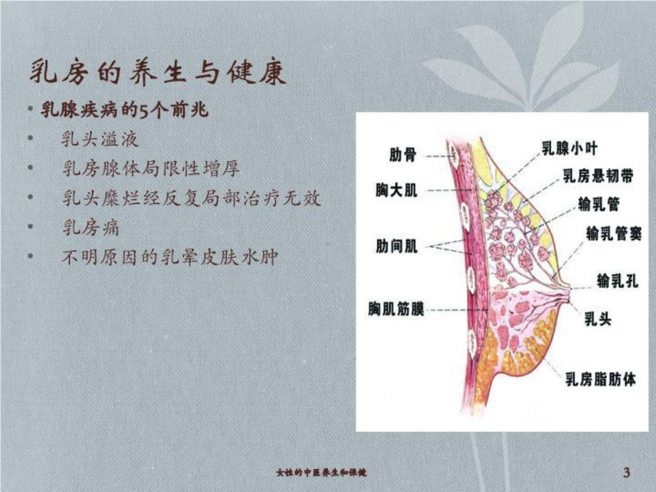 女性的中医养生和保健培训课件.ppt_第3页