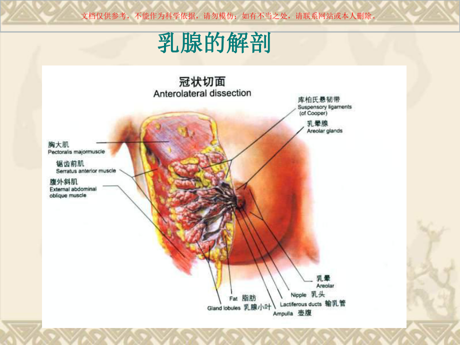 乳腺恶性肿瘤超声诊疗专业知识培训课件.ppt_第1页