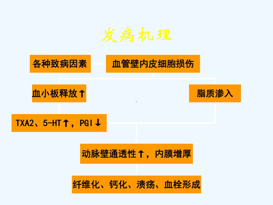 冠状动脉粥样硬化性心脏病课件-3.ppt_第3页