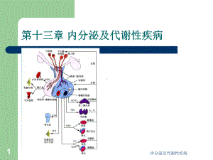 内分泌及代谢性疾病课件.ppt