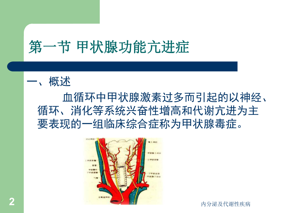 内分泌及代谢性疾病课件.ppt_第2页