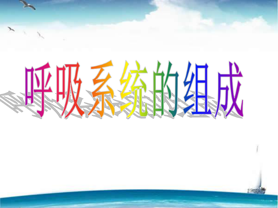 呼吸系统的组成-课件.ppt_第1页