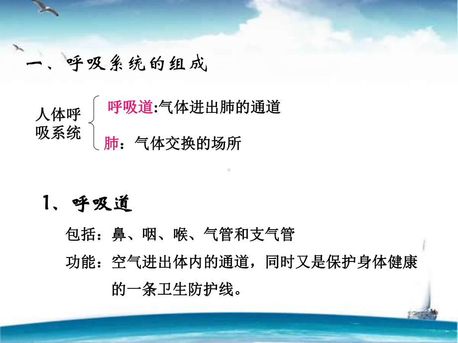 呼吸系统的组成-课件.ppt_第3页