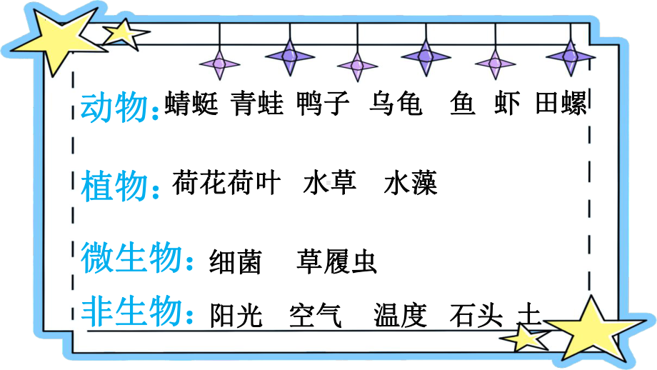 14.池塘里的世界（ppt课件）(01)-2022新冀人版六年级上册《科学》.pptx_第3页