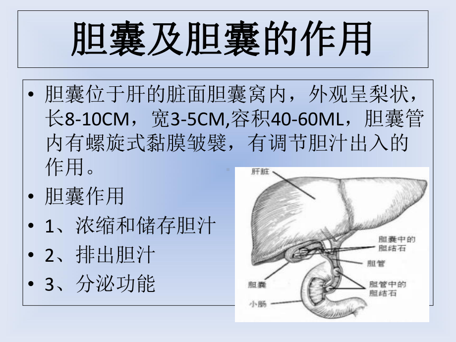 医学课件胆囊结石小讲课.ppt_第2页