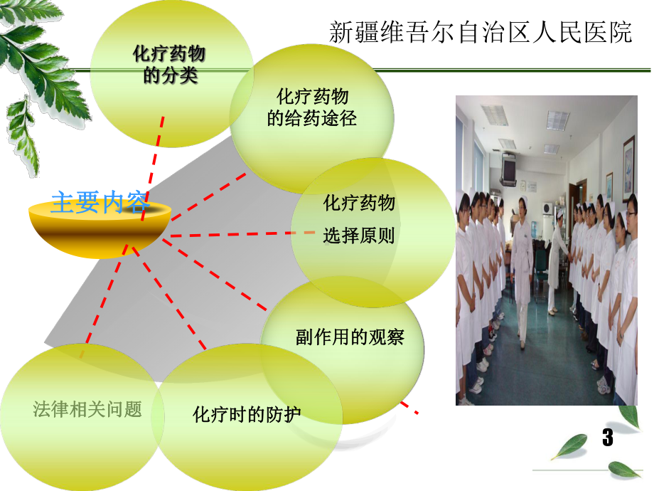 化疗药物的应用与管理-课件.ppt_第3页