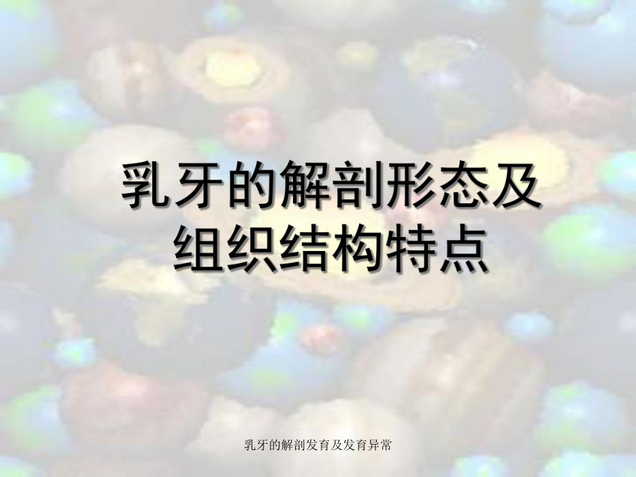 乳牙的解剖发育及发育异常课件.ppt_第1页