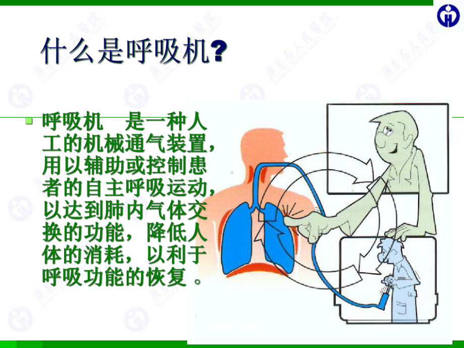 呼吸机病人护理培训课件.ppt_第2页