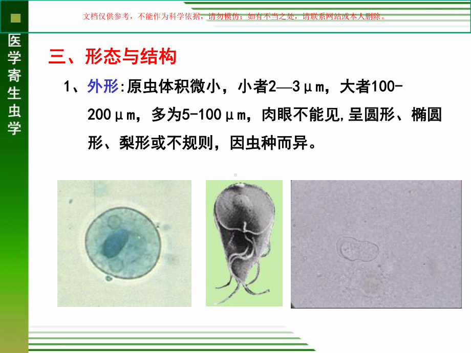 医学原虫概论溶组织内阿米巴鞭毛虫培训课件.ppt_第3页