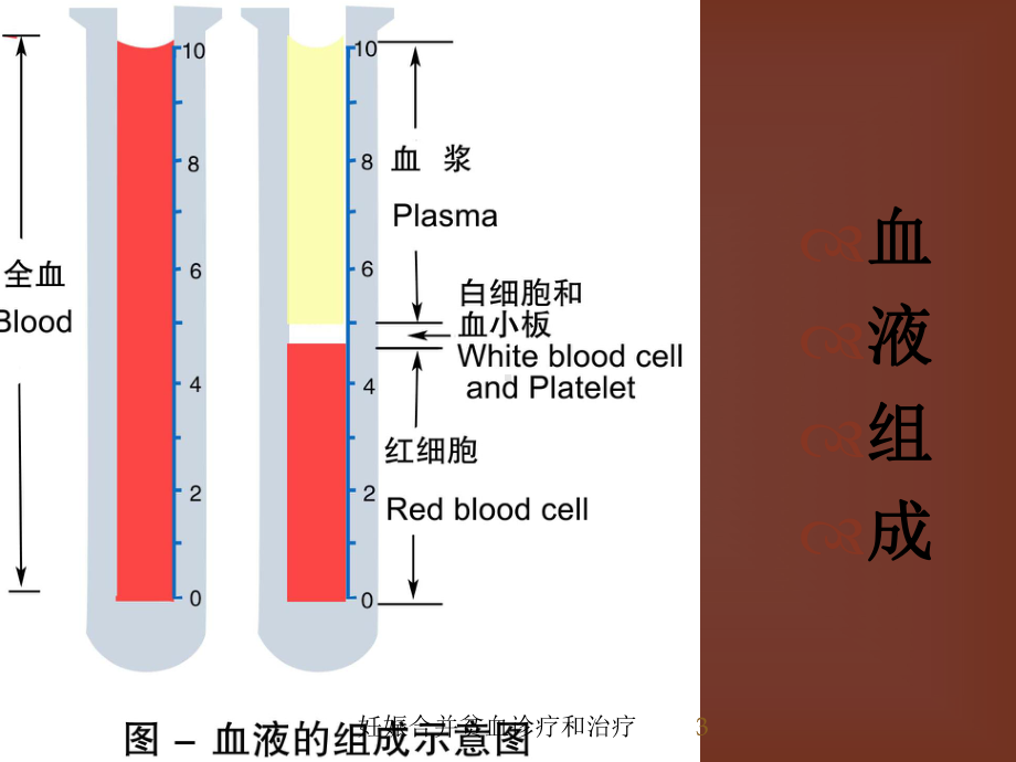 妊娠合并贫血诊疗和治疗培训课件.ppt_第3页