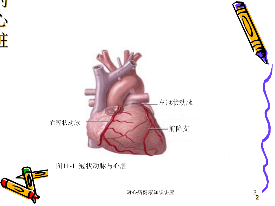 冠心病健康知识讲座培训课件.ppt_第2页