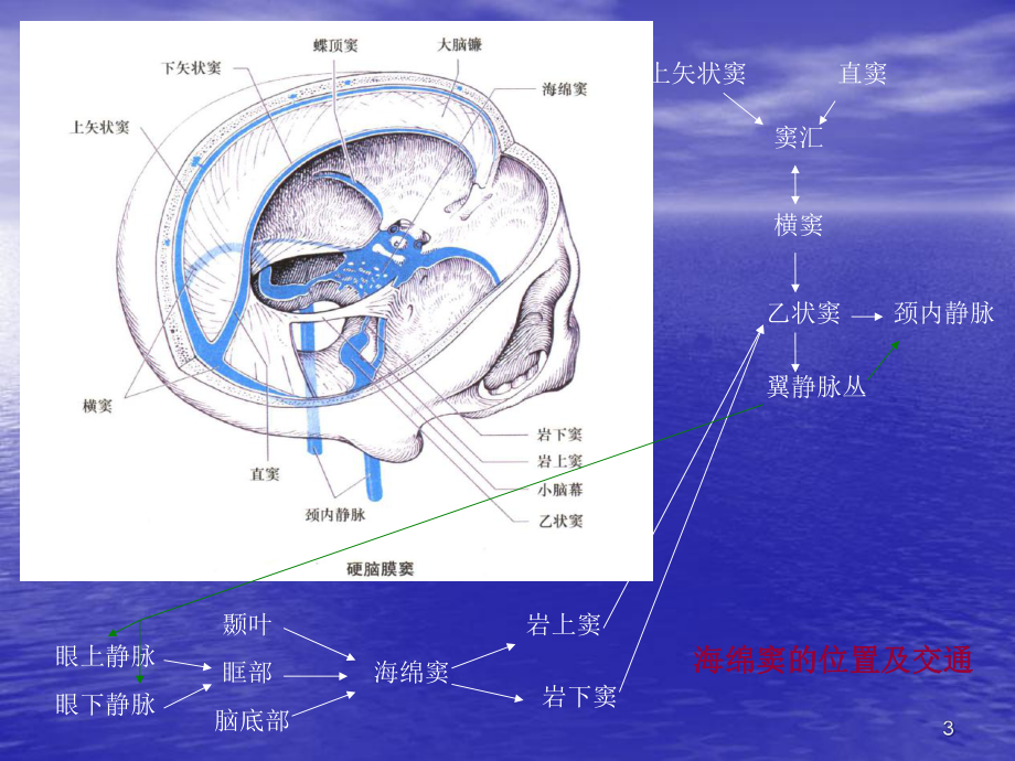 医学课件-海绵窦综合征等课件.ppt_第3页