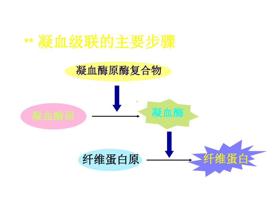 医学课件抗凝药的基础及应用.ppt_第3页