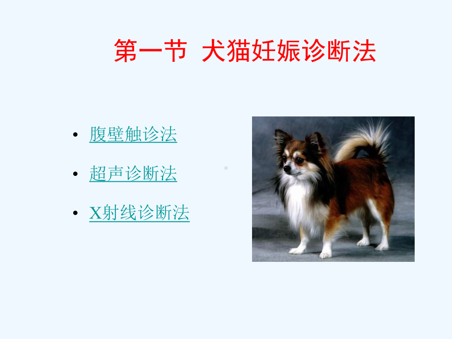 小动物妊娠诊断分娩与护理课件.ppt_第3页