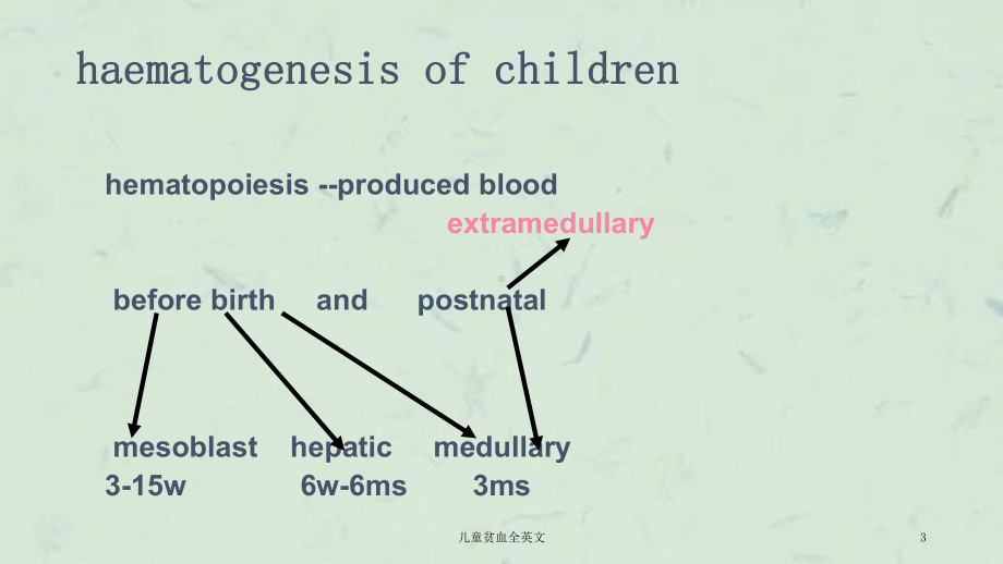 儿童贫血全英文课件.ppt_第3页