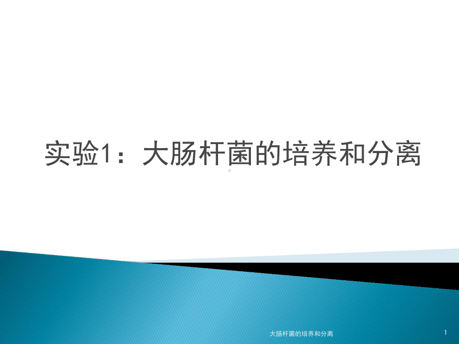 大肠杆菌的培养和分离课件.ppt_第1页