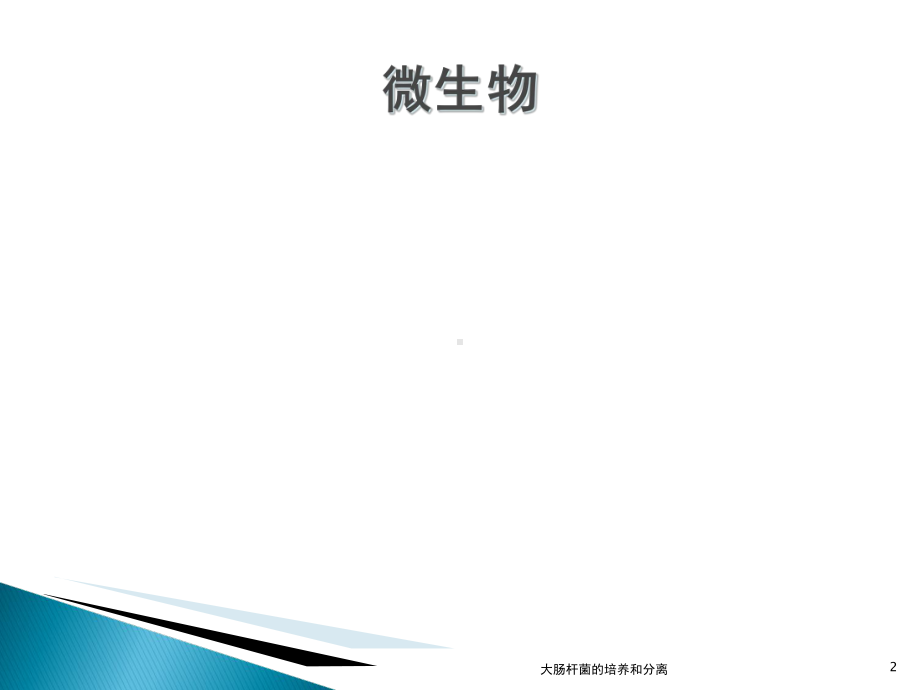 大肠杆菌的培养和分离课件.ppt_第2页