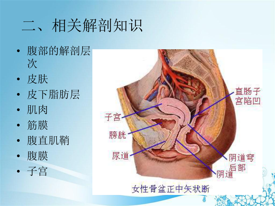 医学课件剖宫产的手术配合.ppt_第3页