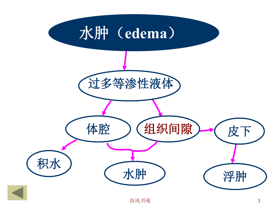 动物病理学-水肿和脱水[医药荟萃]课件.ppt_第3页