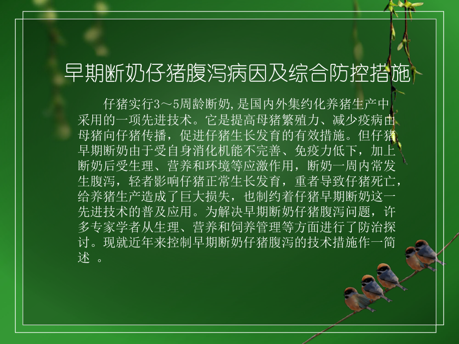 仔猪腹泻原因及防治教材课件.ppt_第2页