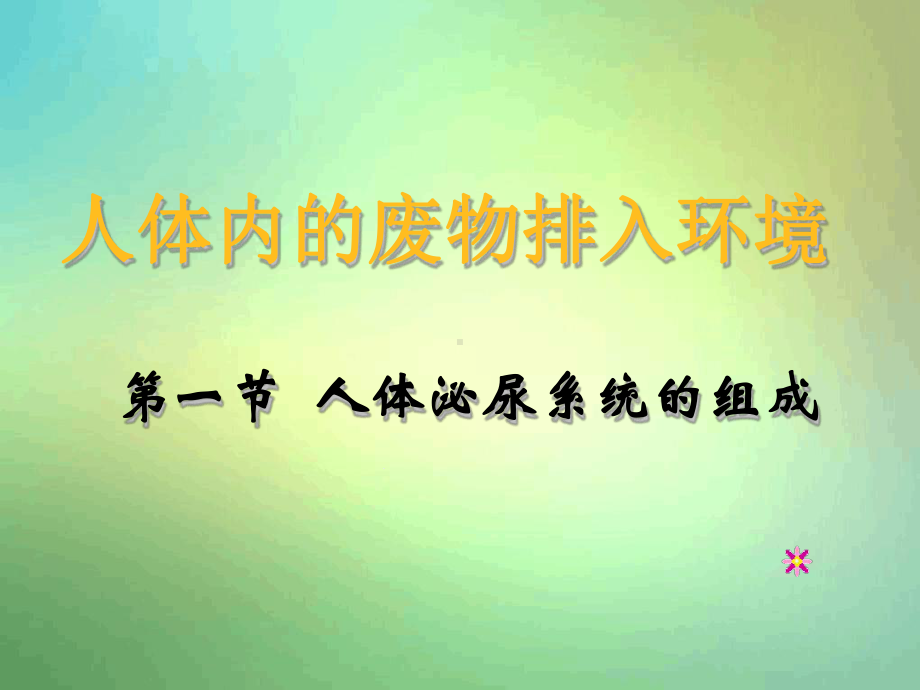 人体泌尿系统的组成-肾课件.ppt_第1页