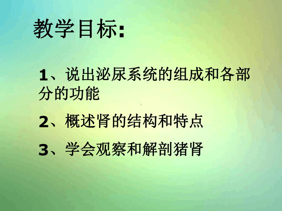 人体泌尿系统的组成-肾课件.ppt_第2页