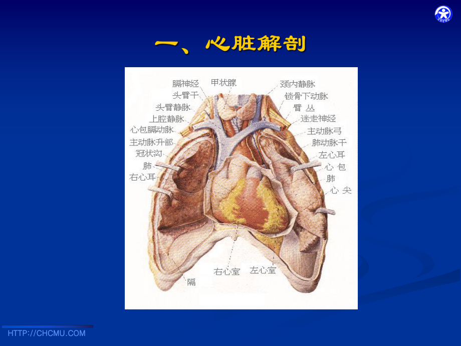 小儿先天性心脏病超声诊断课件.ppt_第3页