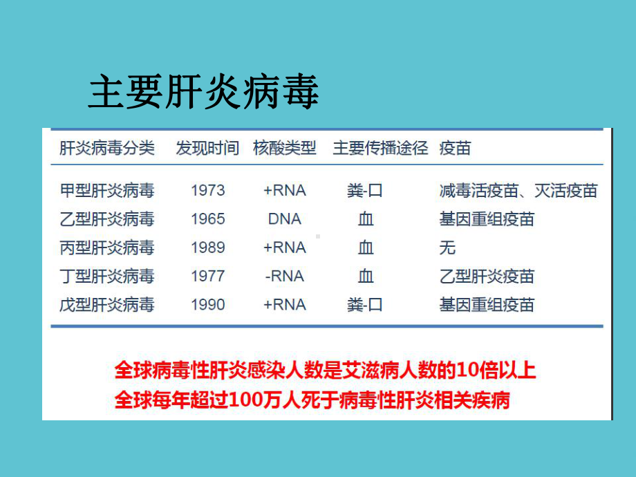 乙型病毒性肝炎诊断标准培训课件.ppt_第2页