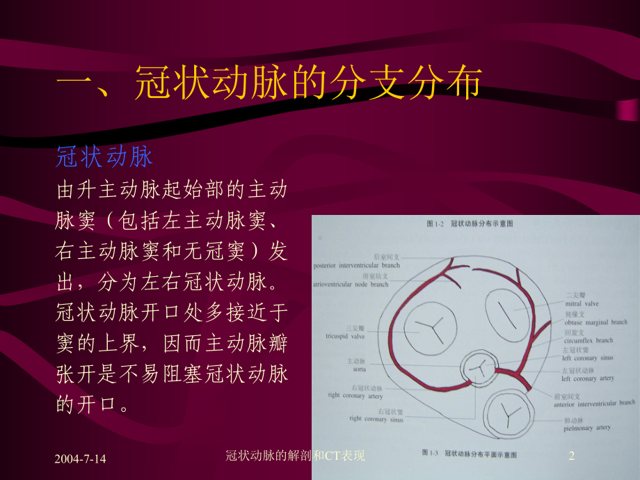 冠状动脉的解剖和CT表现培训课件.ppt_第2页