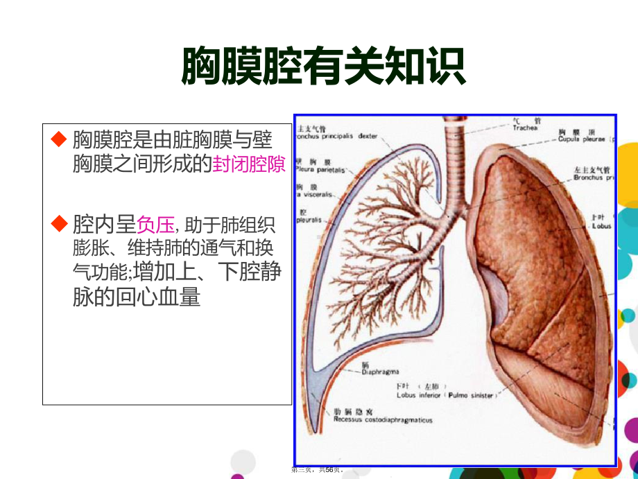 医学培训课件胸腔闭式引流术.ppt_第3页